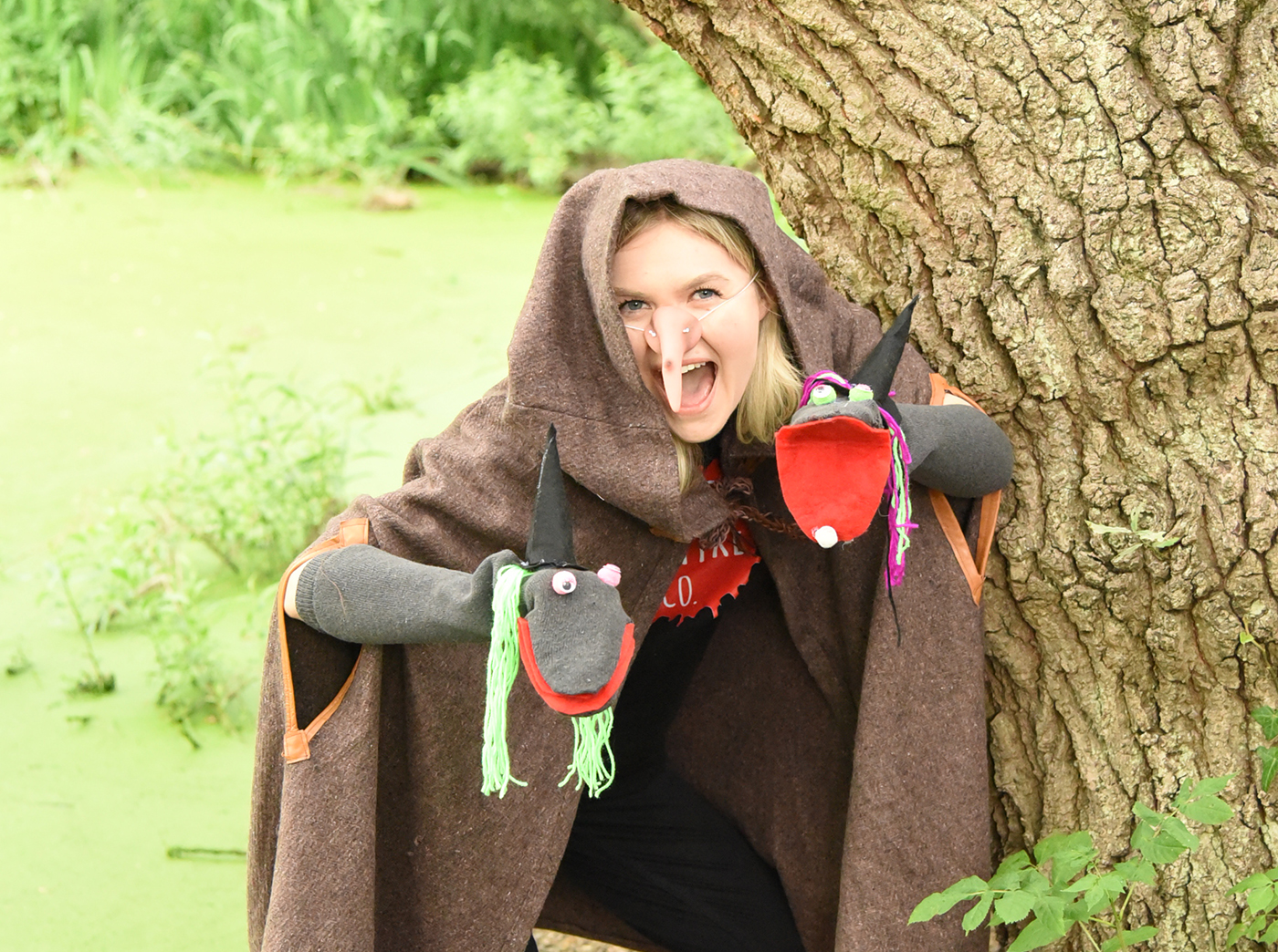 Shakespeare Key Stage 2 - Midsummer Nights Dream